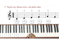 Hướng dẫn học đàn Piano Thiếu Nhi || Bài 1: Bài Tập Đầu Tiên